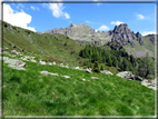 foto Malga Val Cion